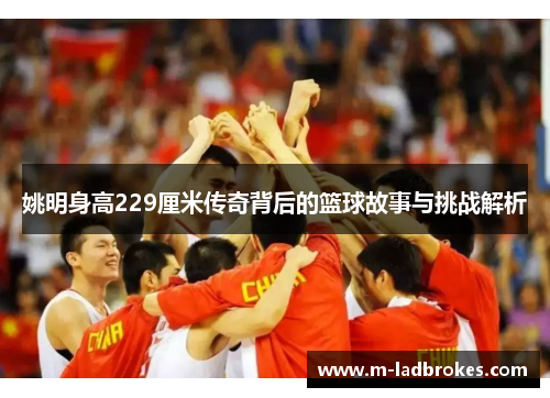 姚明身高229厘米传奇背后的篮球故事与挑战解析